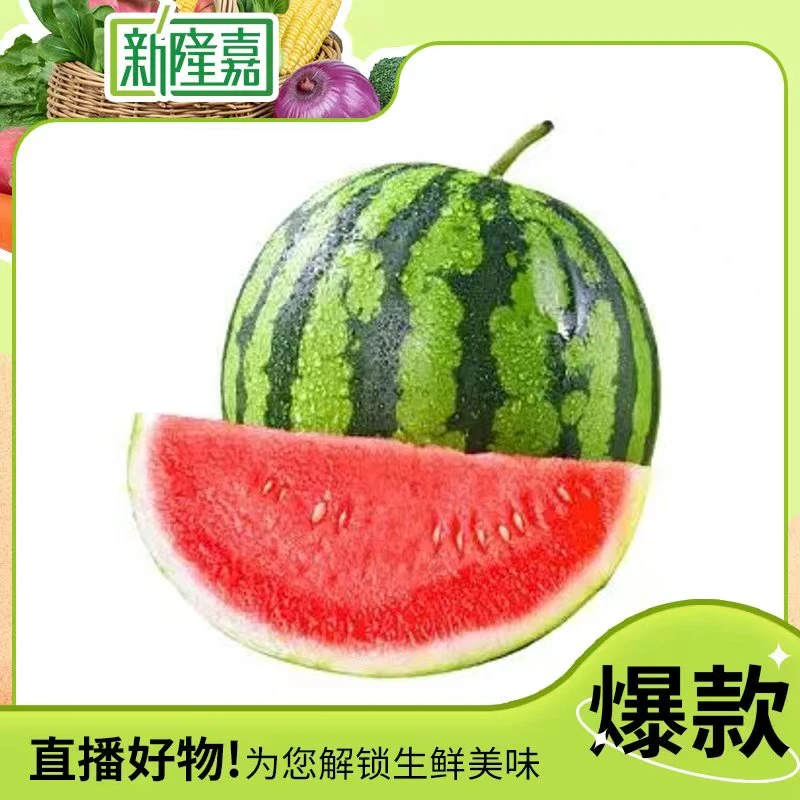 【冰爽一夏】脆冰山麒麟西瓜10-11斤/个