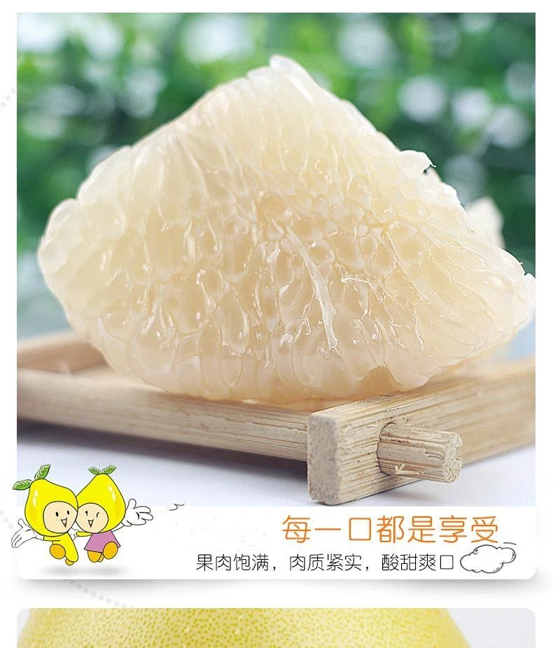 【贡水白柚】当季新鲜多汁现摘现发贡柚宣恩白柚