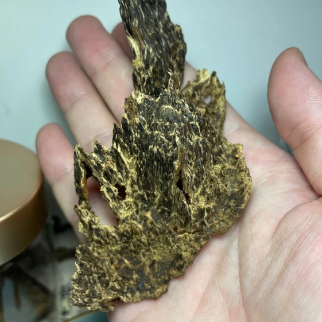 海南鹧鸪斑包头沉香