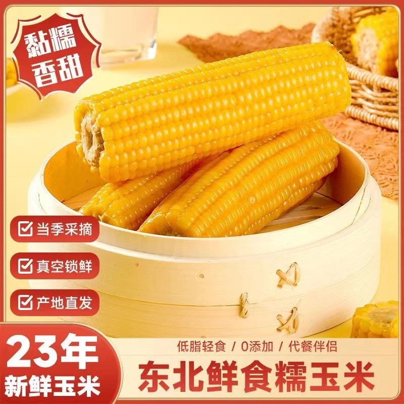 东北头茬黄糯玉米单根真空包装260g以上低脂拍八根送俩根