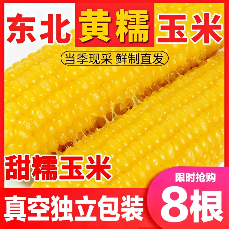 2023东北头茬新黄糯玉米真空包装低脂0添加主食东北整箱八根220g