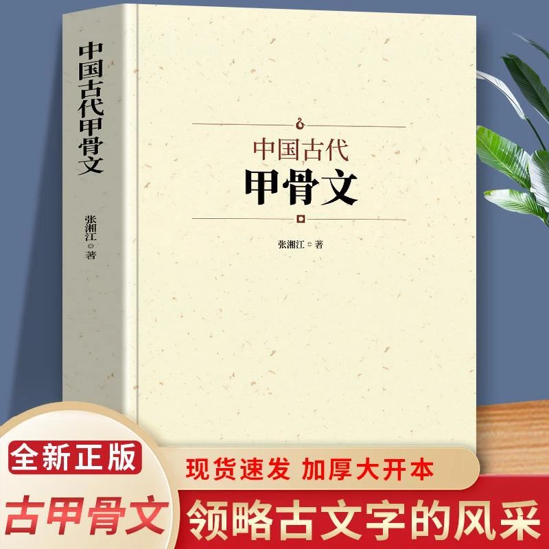 正版 中国古代甲骨文 国学历史文字商甲骨文中国文化文字解说书籍
