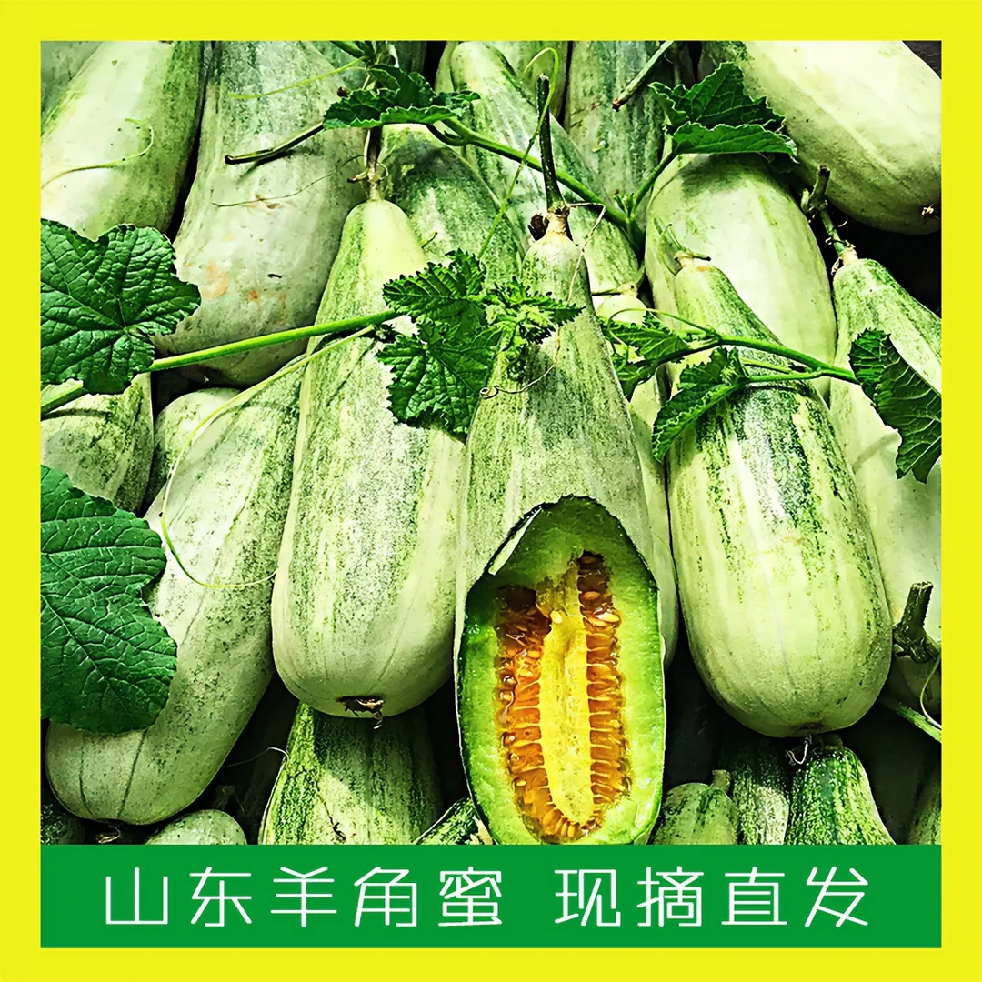 山东头茬羊角蜜甜瓜甜脆新鲜当季水果香瓜山东产地现摘现发羊角蜜