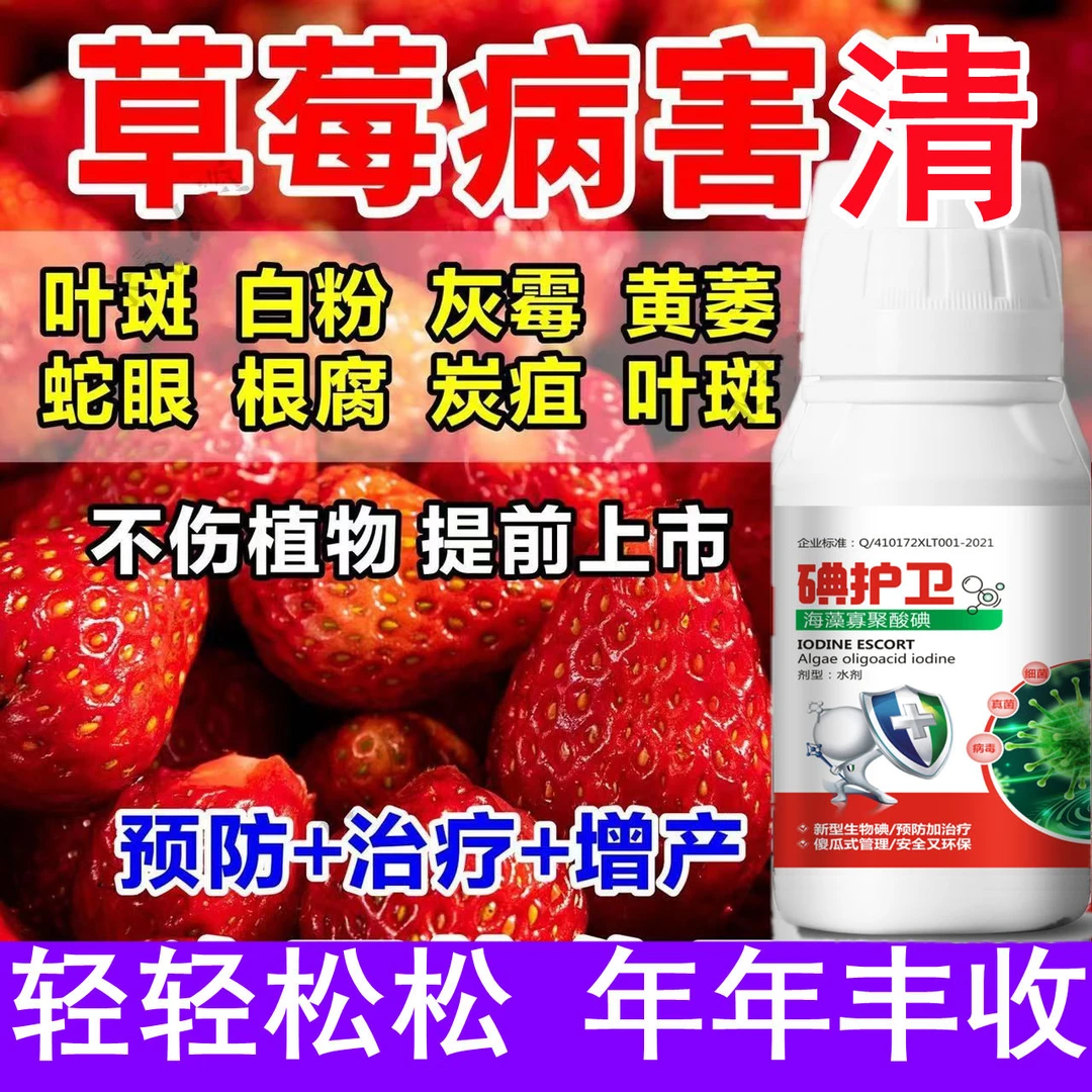 草莓病全治草莓专用杀菌剂杀菌药炭疽病霜霉病灰霉病叶枯病蛇眼病