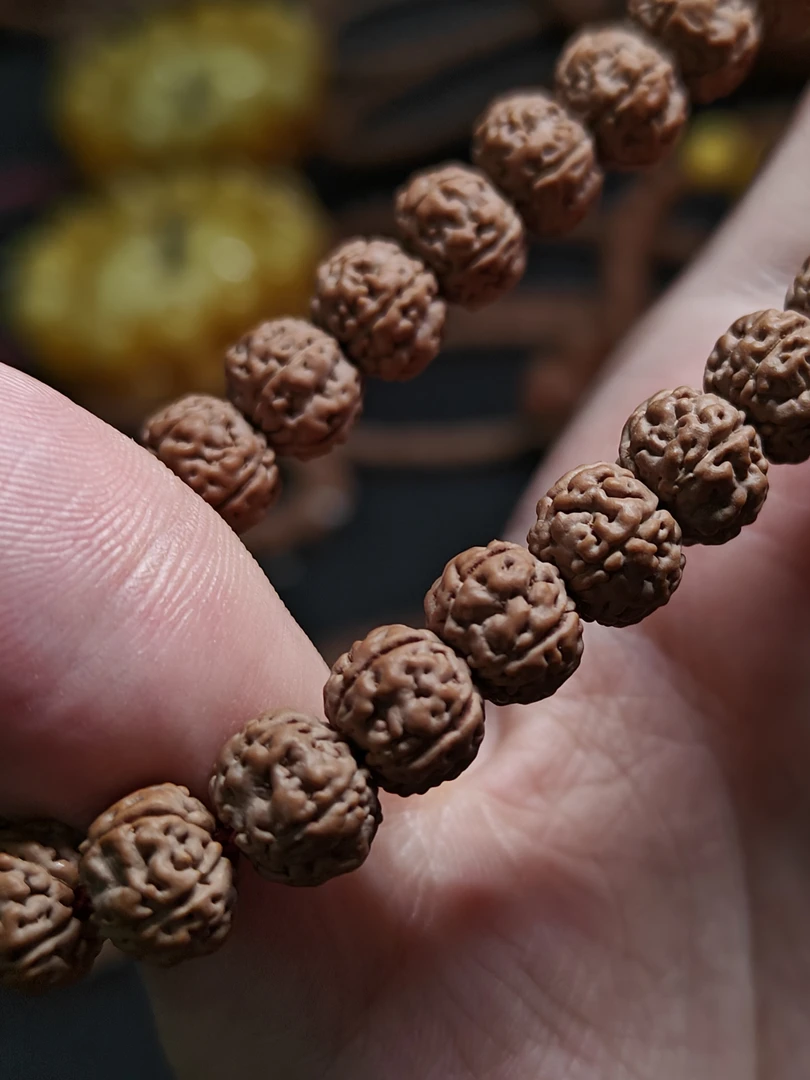 随机原生态小金刚单圈一条