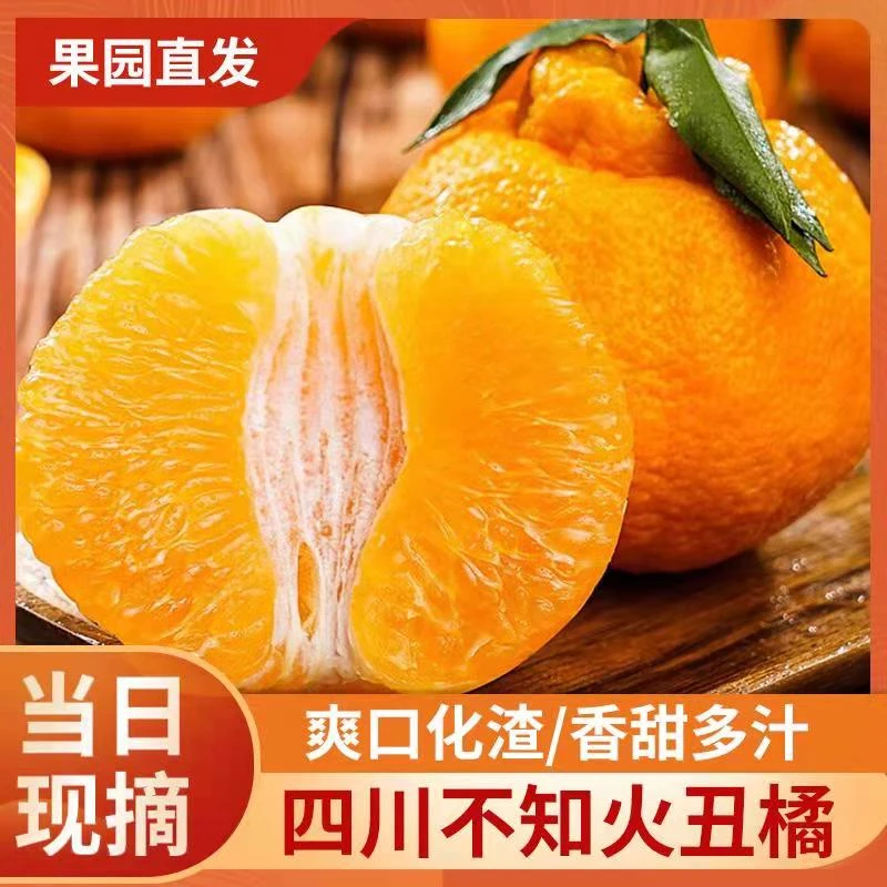 【顺丰包邮】四川丑橘不知火新鲜应季现采现发产地直发脆甜多汁水果