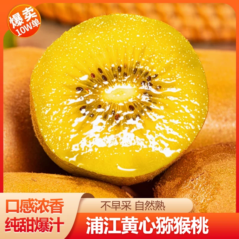 【黄金奇异果】四川蒲江黄心猕猴桃果新鲜水果现采现发老树果D2