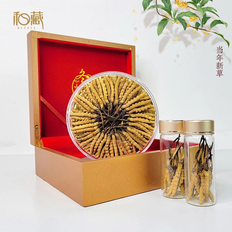 【滋补装】100根冬虫夏草滋补头期虫草
