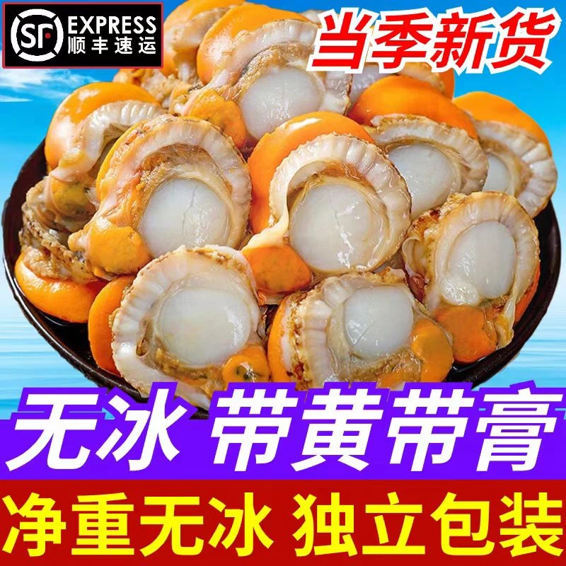 大号 新鲜扇贝肉 4斤无冰 顺丰包邮
