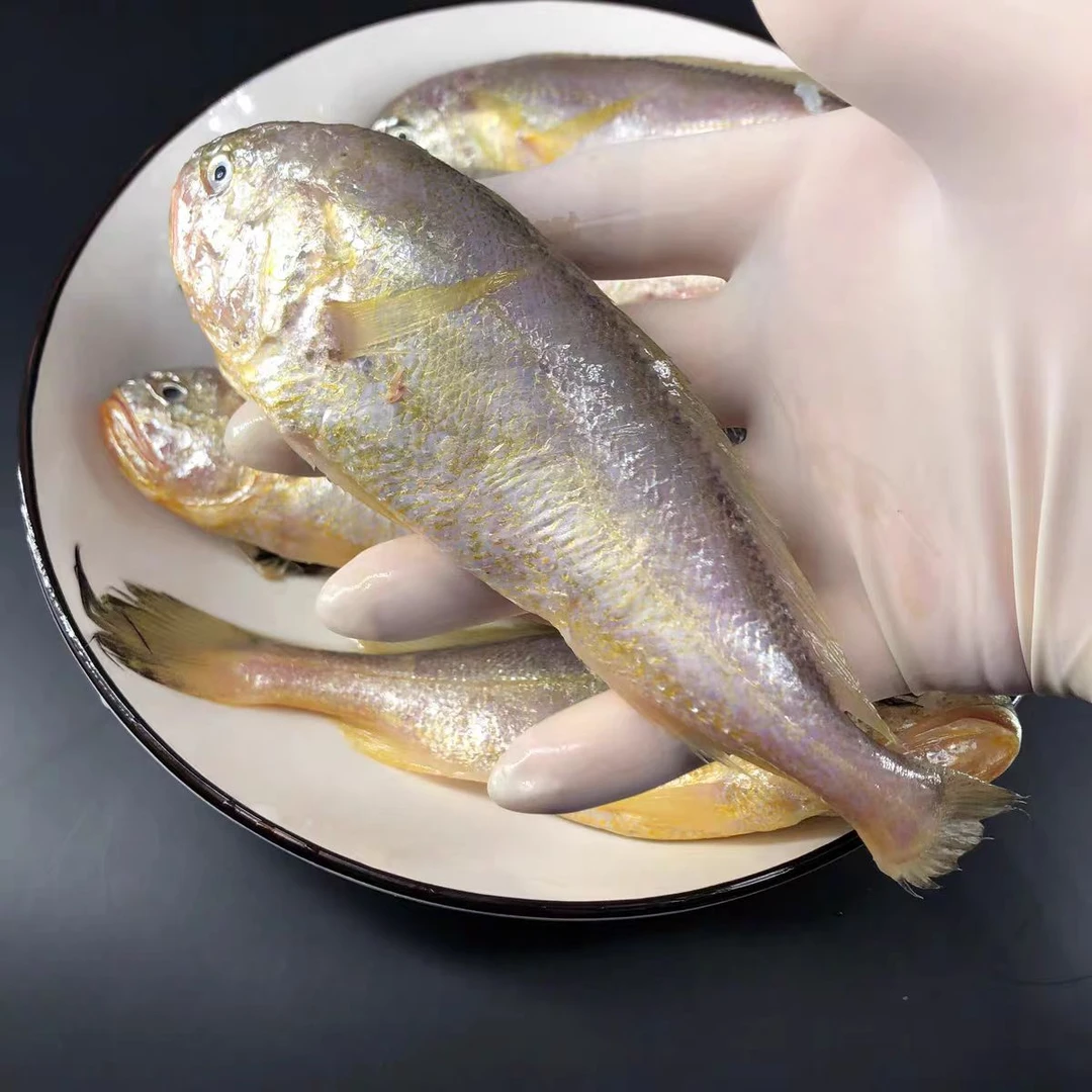 （组合装）2.5斤 小黄花鱼+2.5斤 梅童鱼 大头宝 总5斤 顺丰包邮