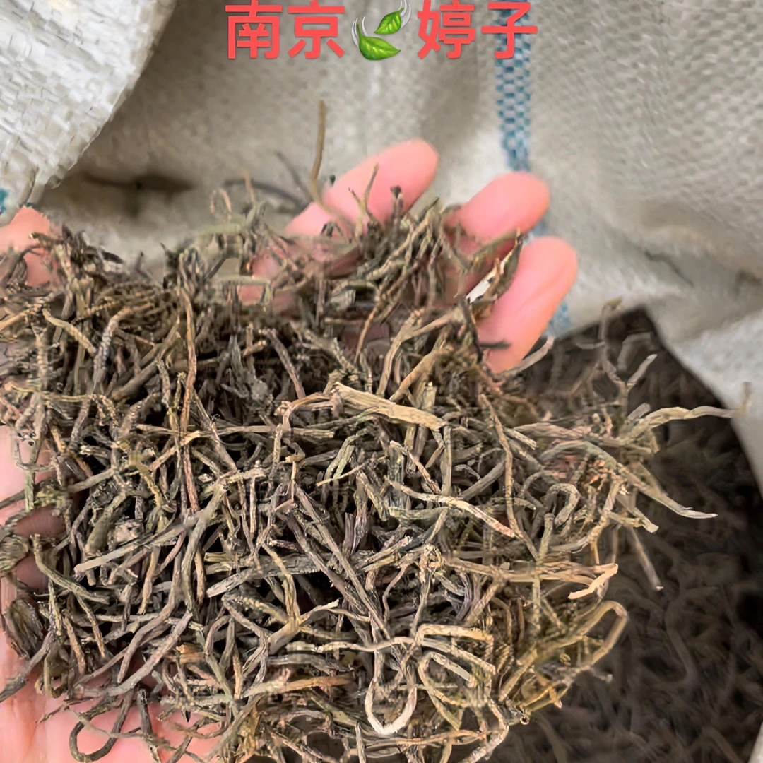 （1斤起购）苦草毛籽 扁担草种子 鸭舌草种 螃蟹龙虾耐高温水草