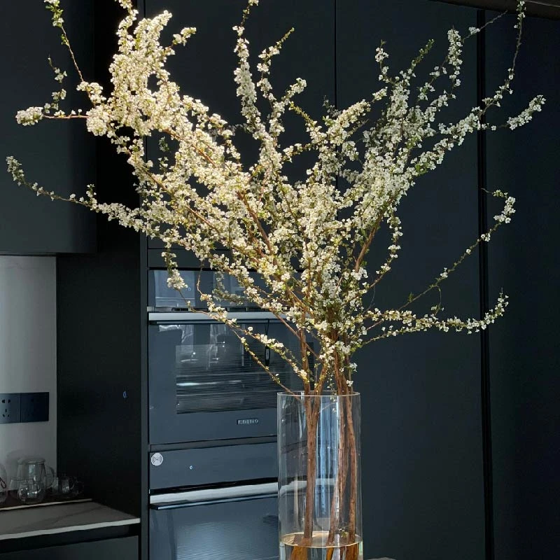 鲜枝雪柳东北基地直发雪柳水培耐寒遇水开花水培鲜切冬日里的浪漫