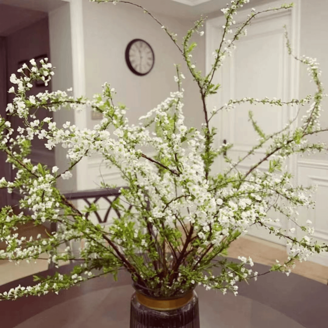【带芽发货】雪柳鲜枝水培干枝支懒人花绿植物室内庭院绿化发芽枝条