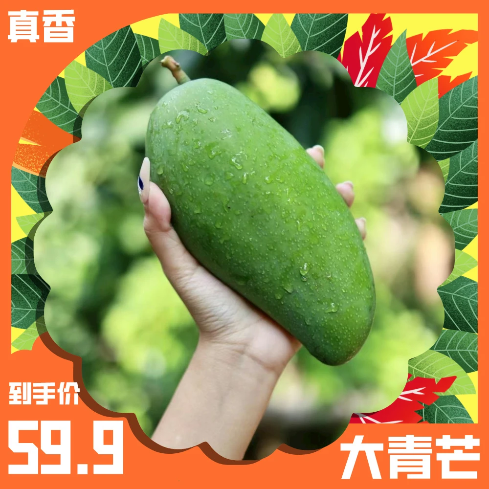 【熟吃】云南大青芒可做果汁可冷藏吃当季鲜每日发货59.9到手9斤