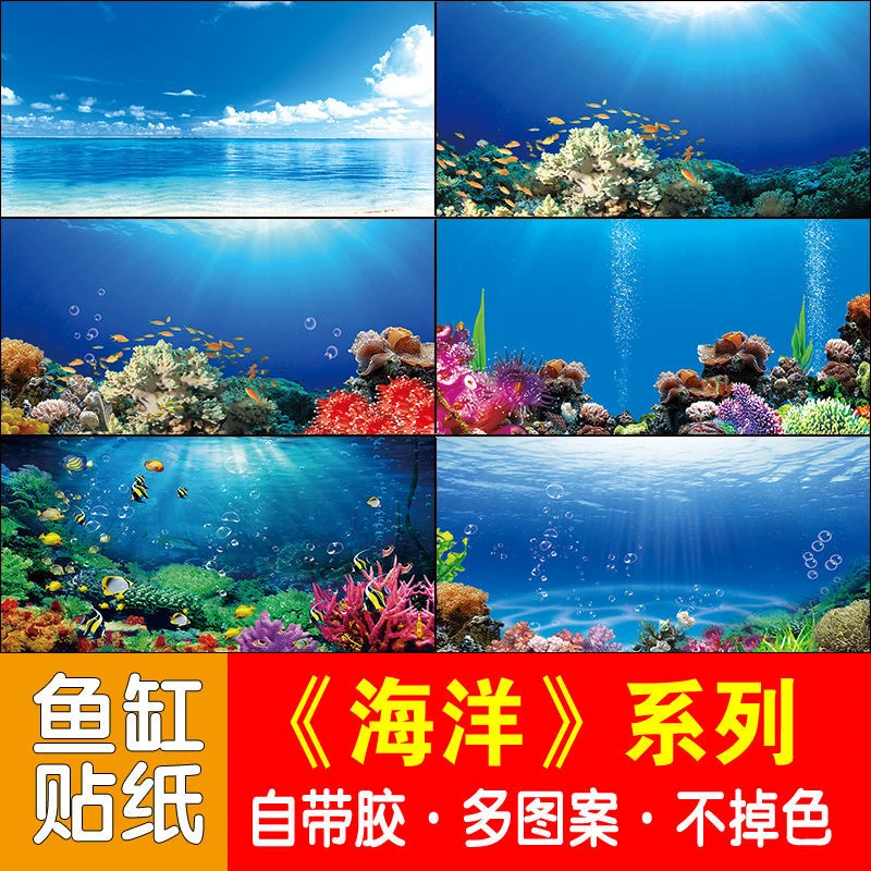 鱼缸背景贴纸海洋海底世界正面自带胶红龙鱼蓝色高清耐用防水