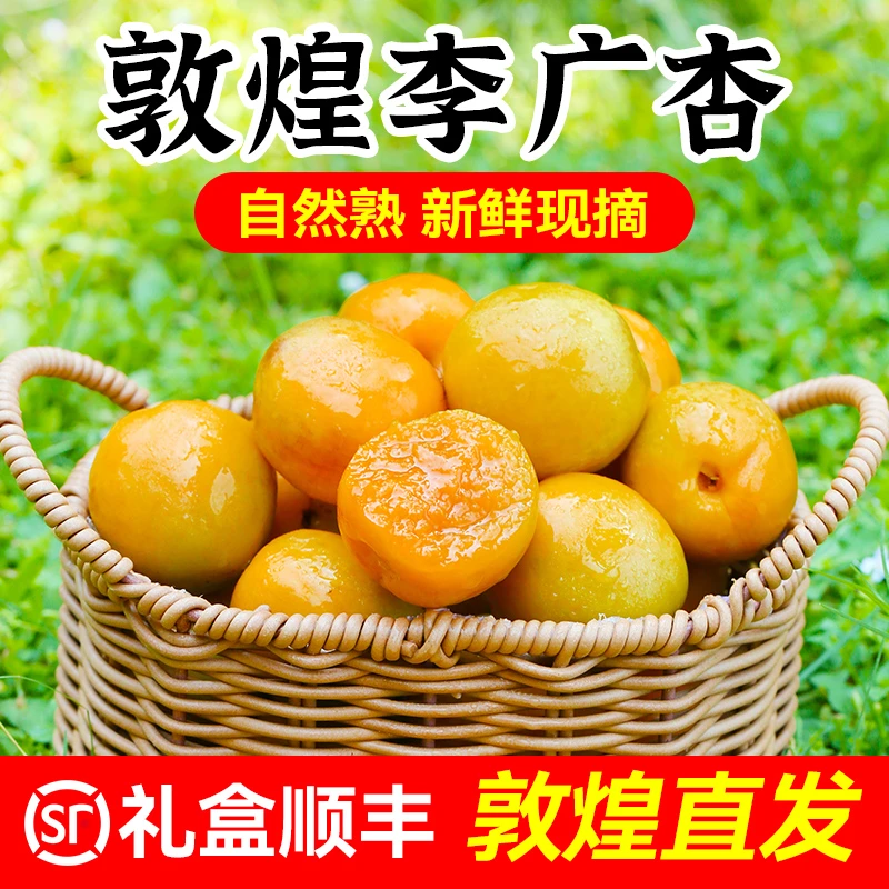 【顺丰包邮】正宗精选敦煌李广杏新鲜甘肃特产水果现摘现发杏子