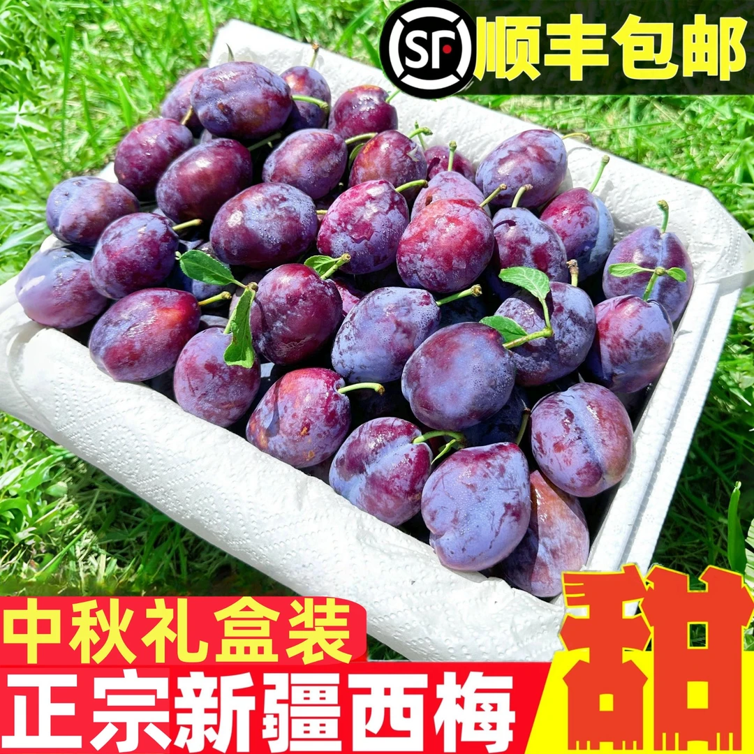 【拍5斤送3斤】新疆西梅鲜果饱满肉厚新鲜采摘应当季水果孕妇食用甜