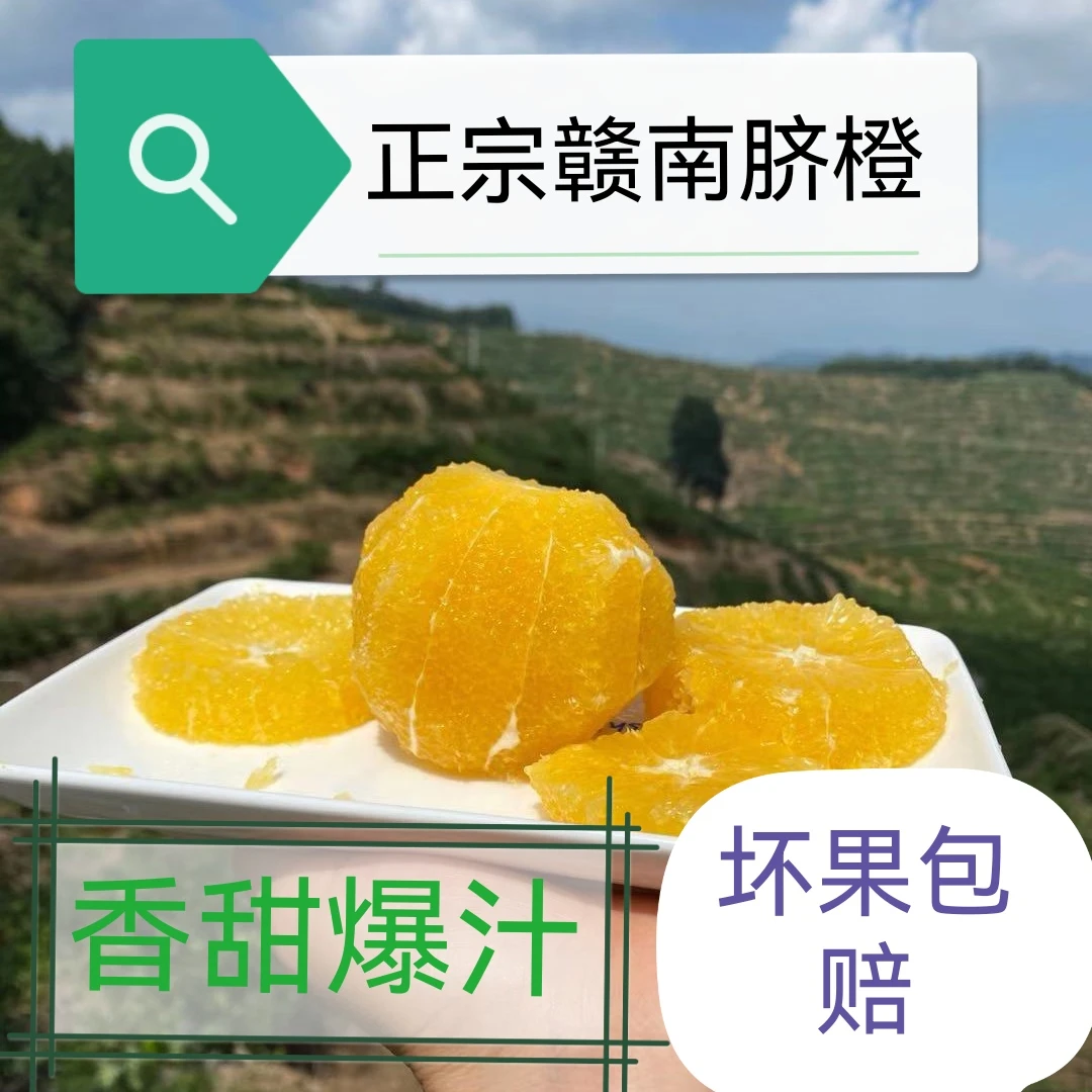 正宗江西赣南脐橙阳光充足种植树上橙香橙子鲜橙脆嫩香甜爆汁
