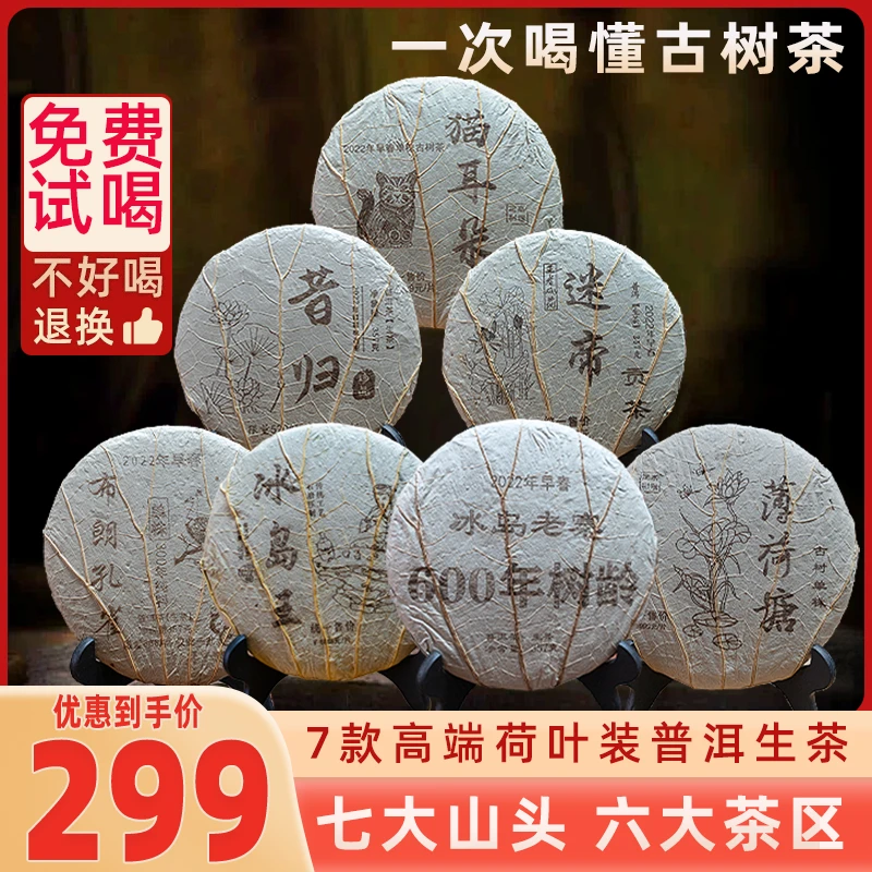 357g荷叶七大山头六大茶区普洱生茶纯料源头产地批发云南七子饼