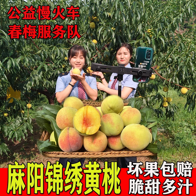 湖南怀化锦绣黄桃子脆桃甜超甜水果批发应季水果新鲜红心整箱5斤