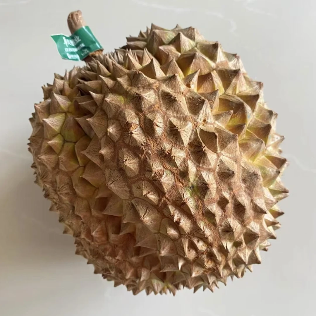 【菲律宾普雅榴莲】  现拍现开 包5房 北京小时达