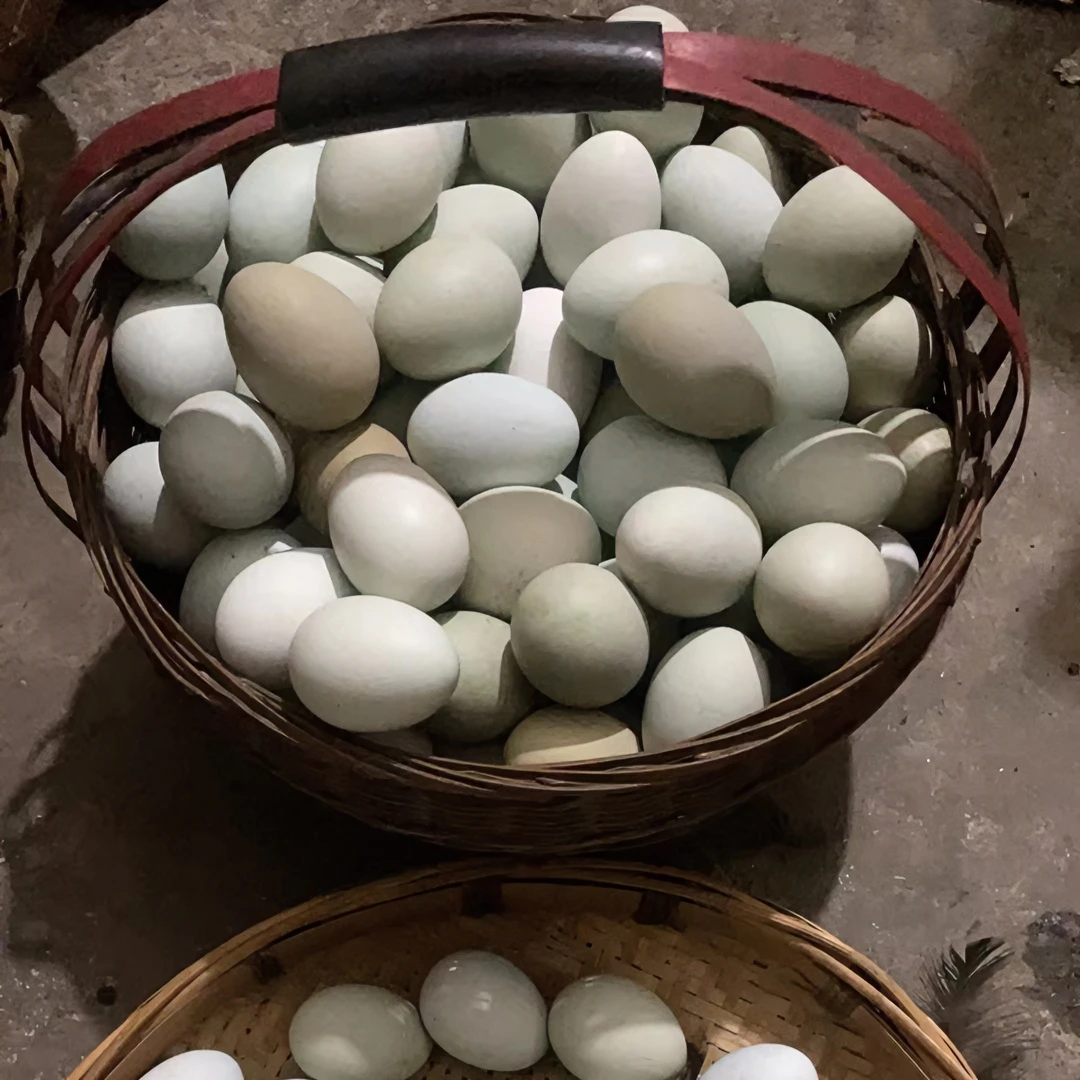 正宗四川放养土鸡蛋溜达鸡土鸡蛋原生态混合装土鸡蛋