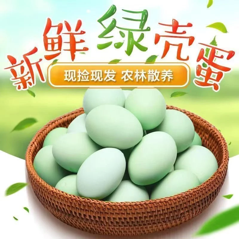 农家放养鸡蛋散养乌鸡蛋笨鸡蛋绿壳鸡蛋礼盒包装土鸡蛋整箱农产品
