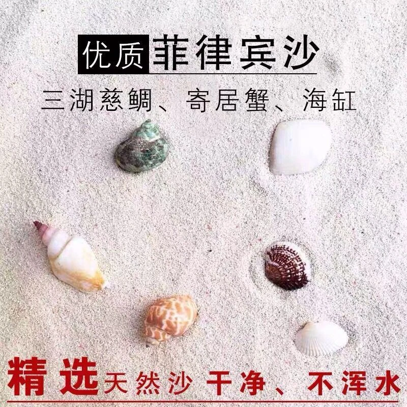天然鱼缸底砂菲律宾沙贝壳珊瑚砂海沙海缸造景装饰三湖慈鲷寄居蟹
