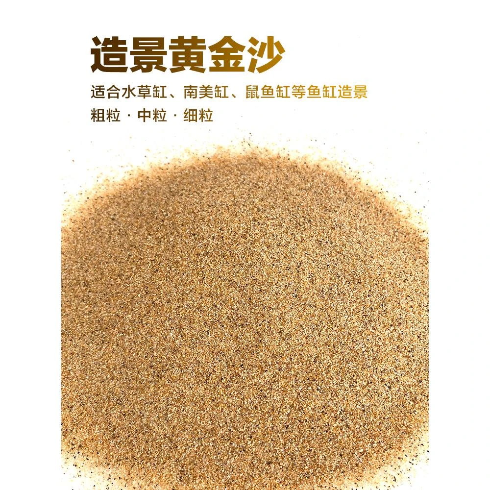 黄金沙南美三湖鼠鱼底沙鱼缸草缸水陆造景化妆沙天然细河沙水草砂