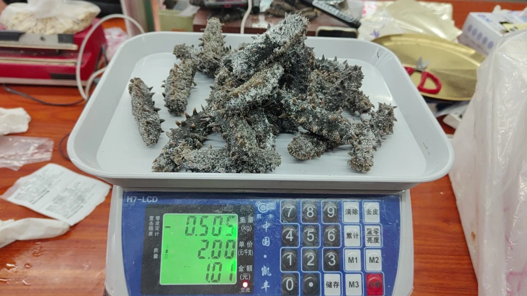 半干海参尾单专用链接  青岛发货