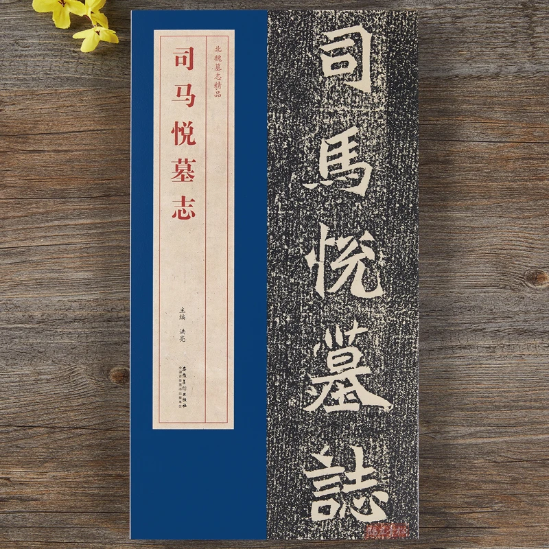 北魏司马悦墓志包含有原大墓志铭一副原大魏碑楷书毛笔书法字帖