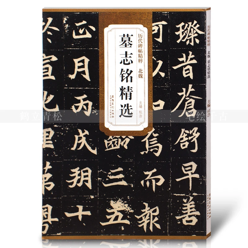 北魏墓志铭精选元桢司马昞和妻孟敬训元显俊崔敬邕李壁张黑女历代