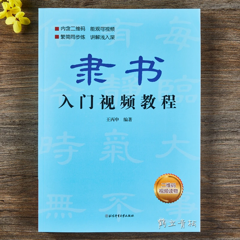 隶书入门教程视频讲解基础书法培训