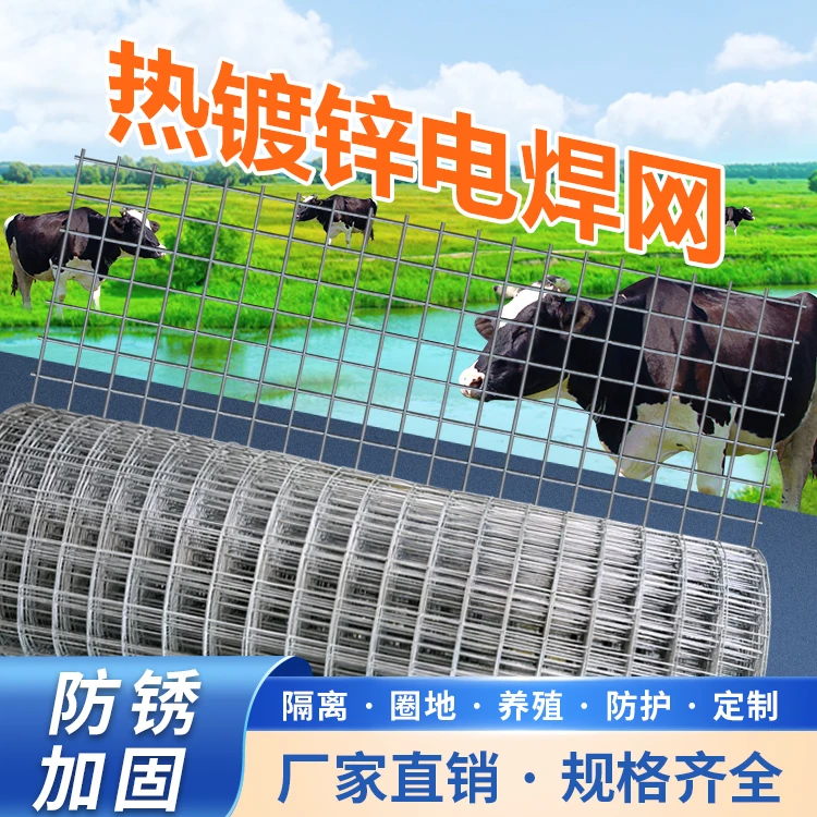 10公分孔热镀锌电焊网户外养殖网抗腐防锈隔离围栏圈地圈果园工厂