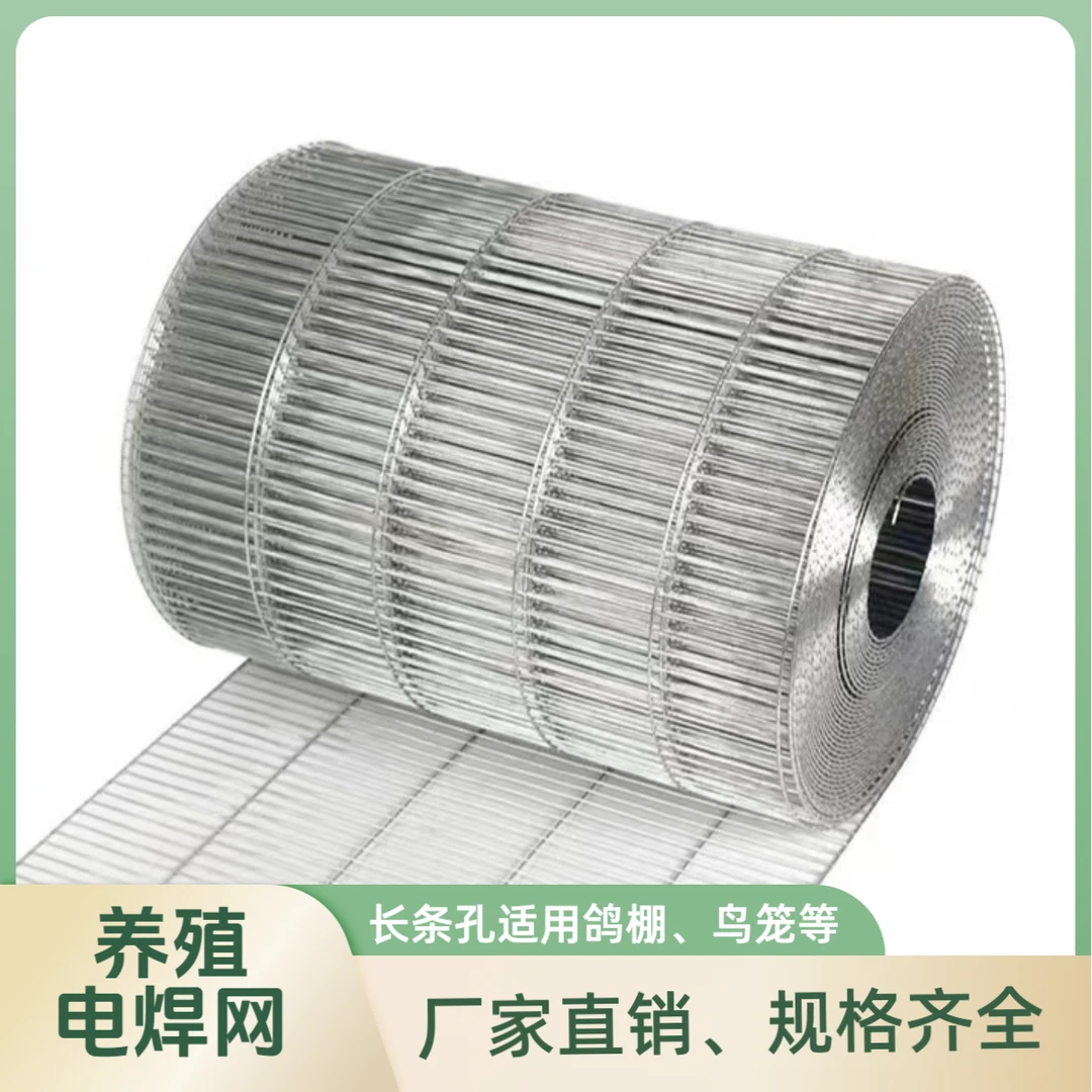 1X10厘米孔加密长条孔养殖电焊网鸽棚鸟笼鸡笼兔笼铁丝网厂家直销
