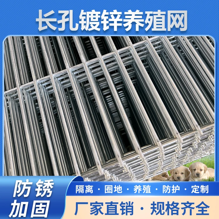 2X10孔现货鸡笼兔笼镀锌网片鸽舍公棚工厂围网漏粪网铁丝网防护网