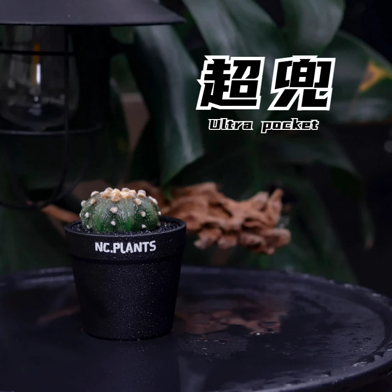 【NC.PLANTS 超兜】加热包发货 | 新品福利｜成品带盆
