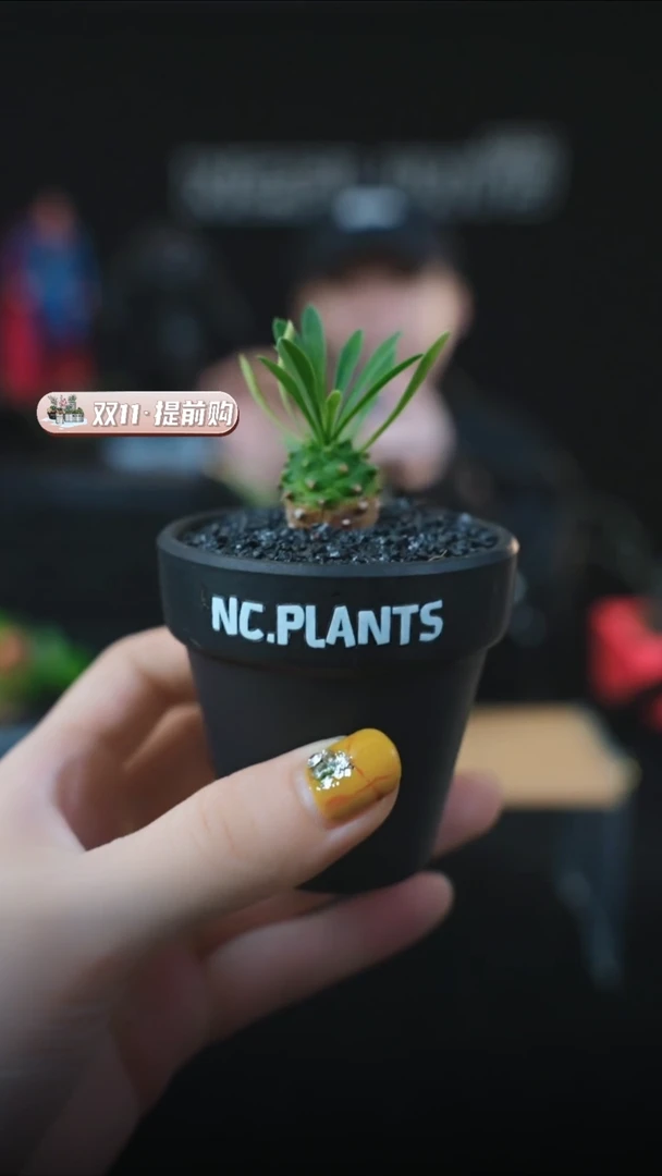 【闪购商品】小小峨眉山