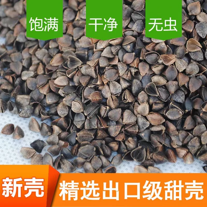 高温灭菌出口级荞麦壳幼儿学生成人家用枕芯填充专用荞麦皮