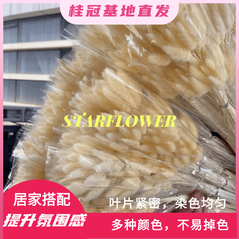 【直播间专属】兔尾永生花 家居装饰搭配 高颜值