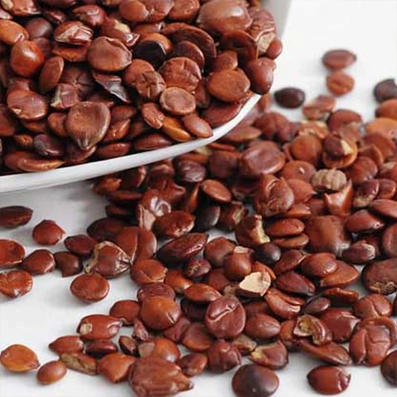 云乡土特产  【酸枣仁】  农家特产