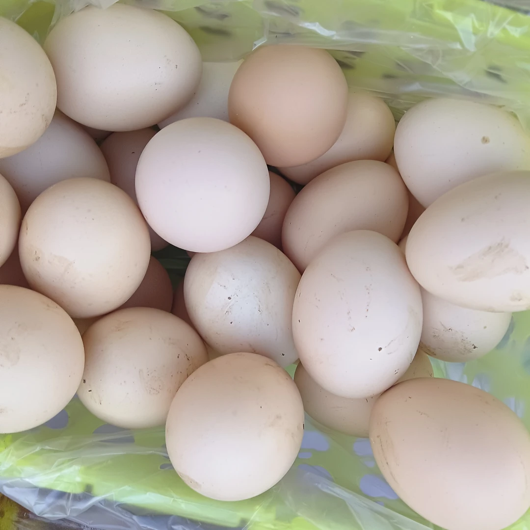 云蕾精选【鸡蛋】云南赶集