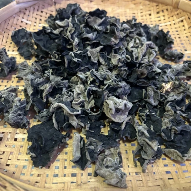 云蕾精选【黑木耳】云南山货