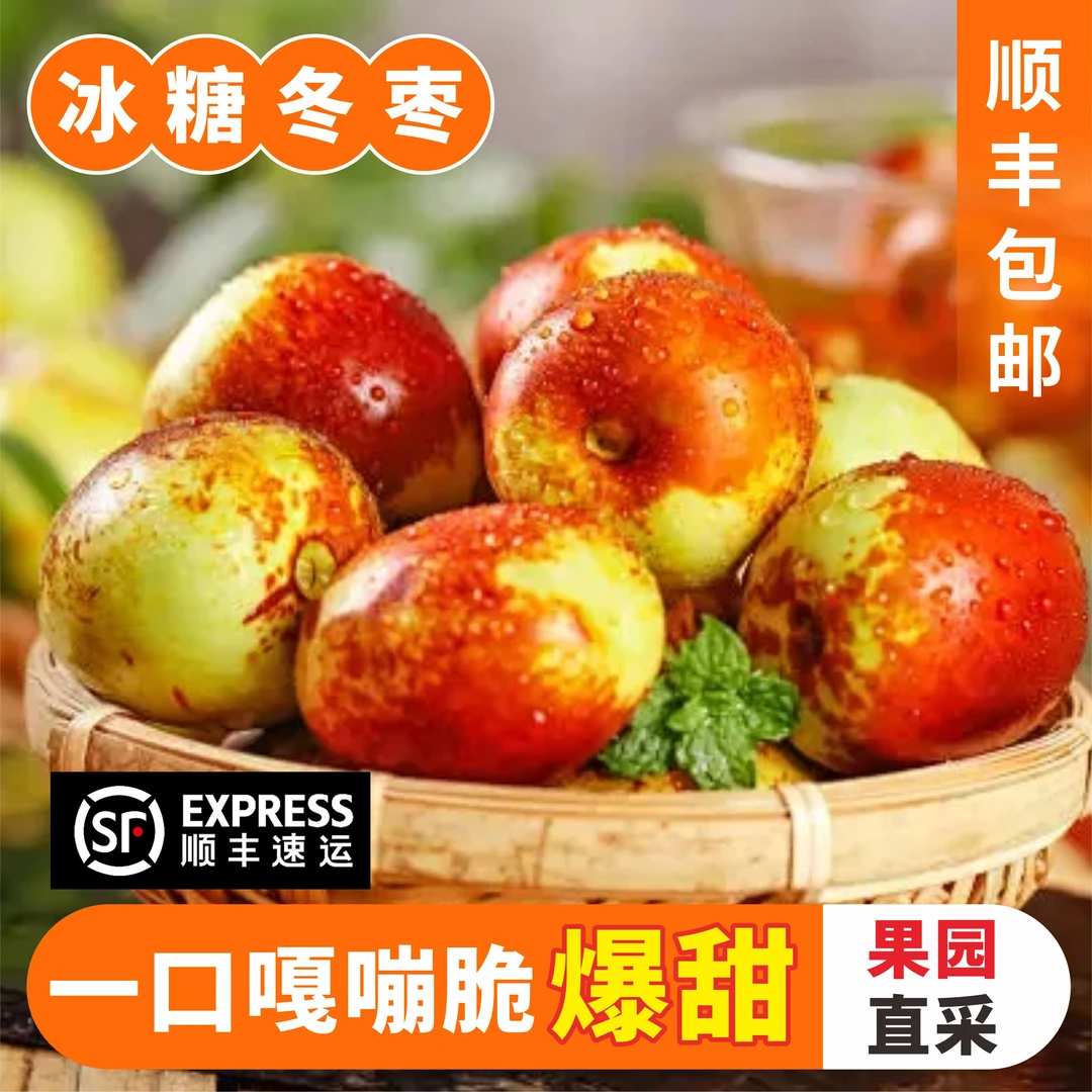 【顺丰包邮】新鲜现摘冬枣5斤脆甜正宗运城庙上冬枣大冬枣水果鲜枣