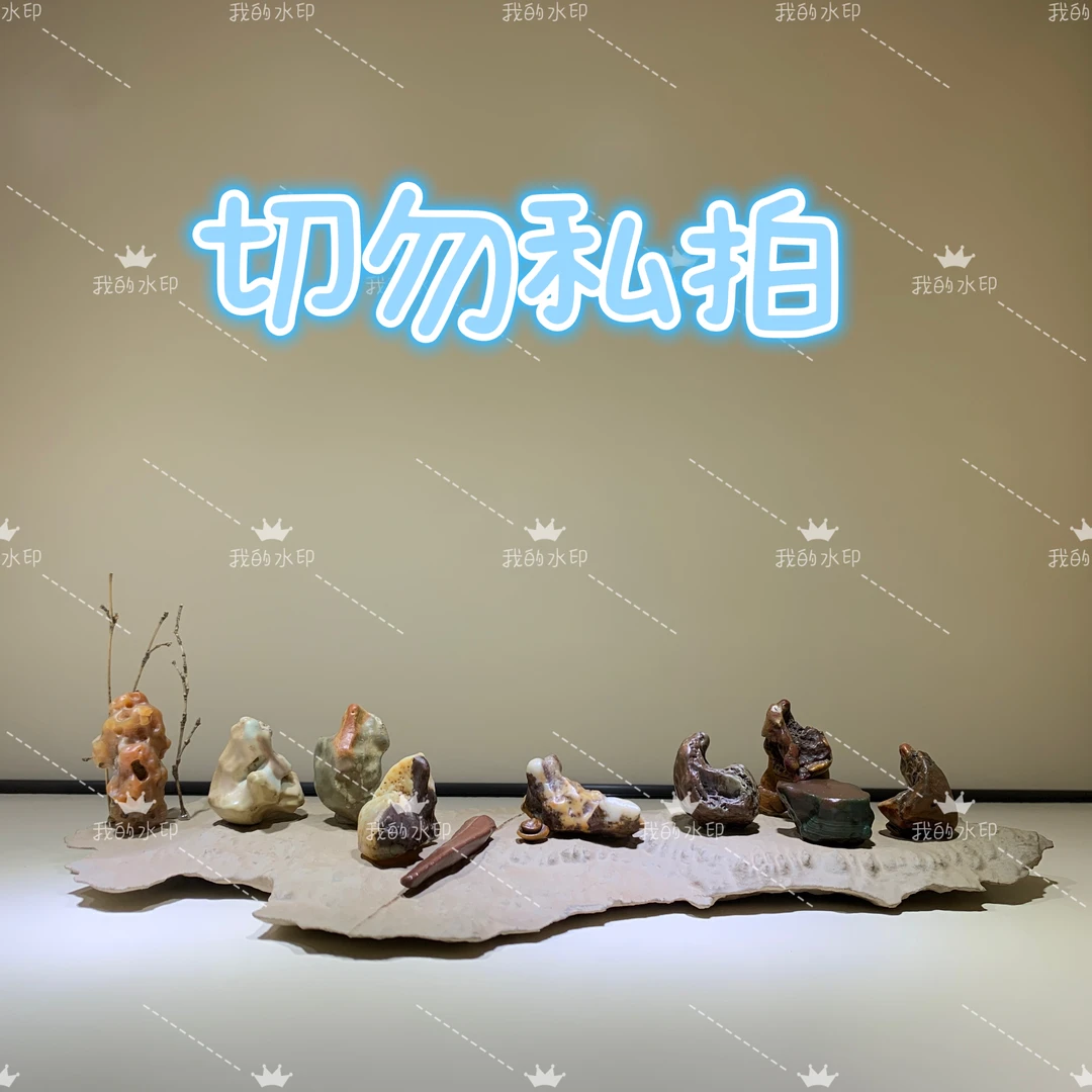 阿拉善观赏石奇石象形石茶玩