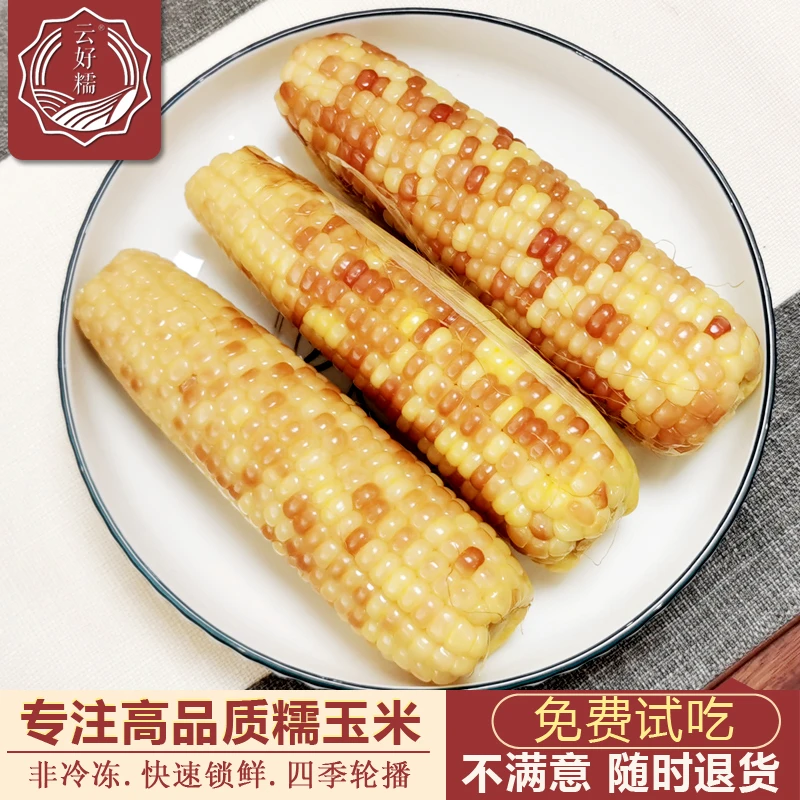 西双版纳香糯玉米新鲜甜糯真空包装代餐粗粮打工人早餐黏棒子