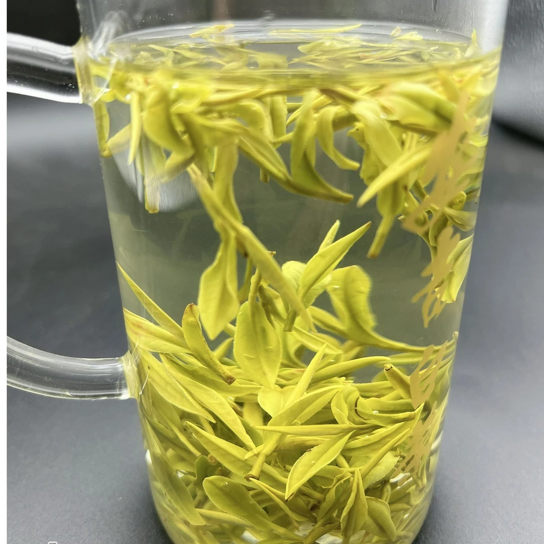 安吉白茶原产地口粮茶