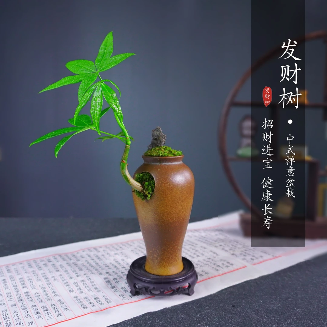 单杆创意造型发财树盆栽桌面植物书房客厅玄关室内室外好养绿植