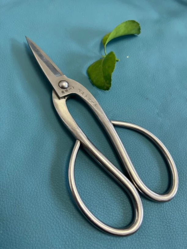 原田尖嘴剪兰花剪园林剪嫩枝条剪手工剪全钢实心锋利耐磨刃口