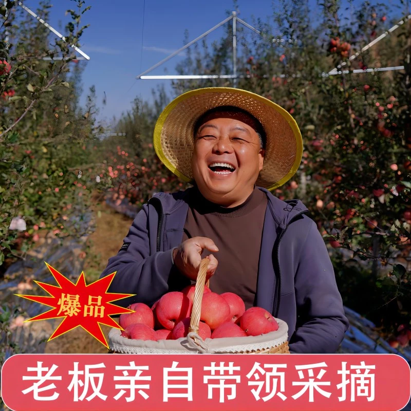 书房梁【延安苹果】陕西正宗洛川红富士延安山地苹果新鲜脆甜礼盒装